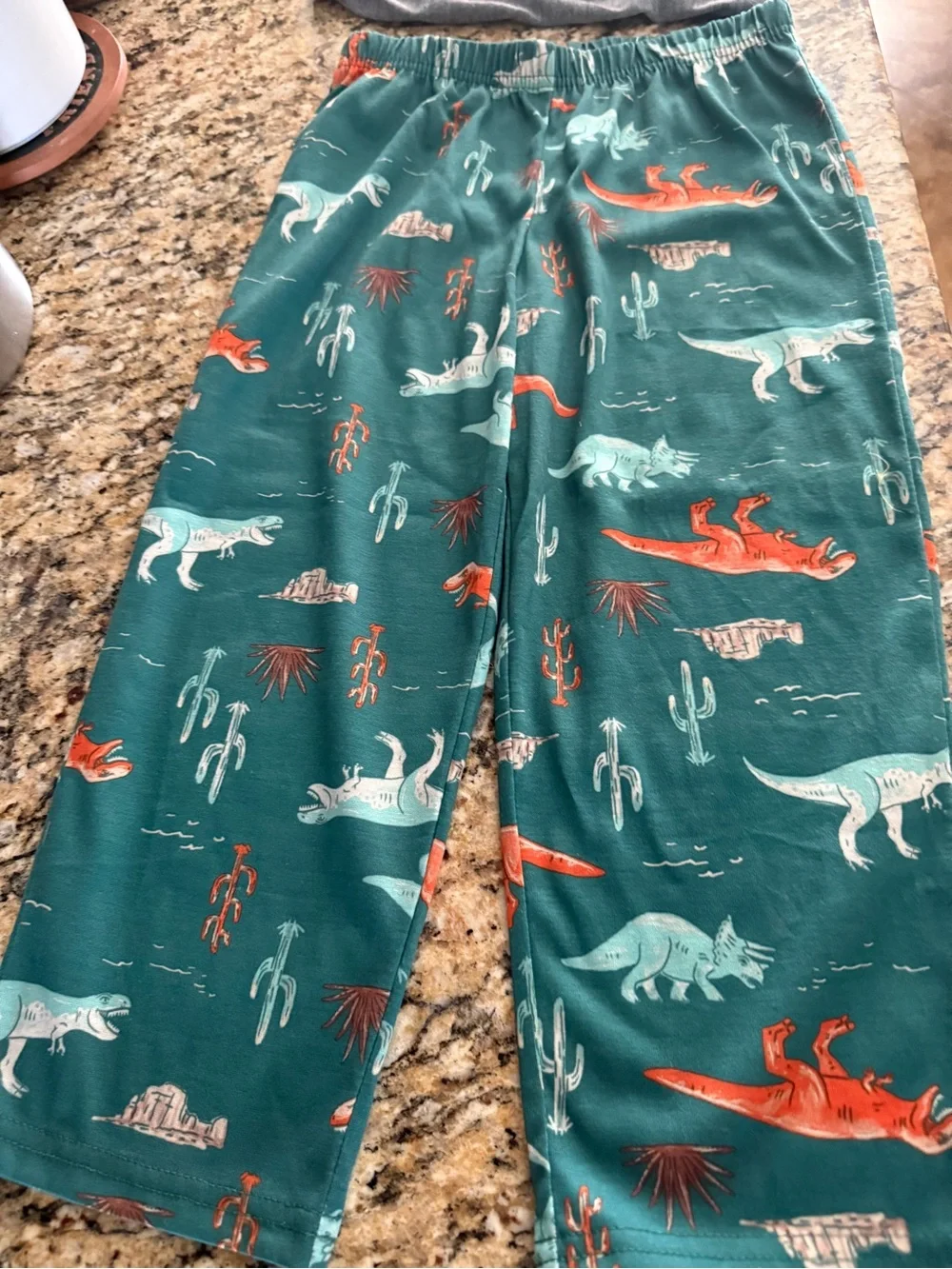 Carter's White Tee & Teal Dinosaur Pajama Set